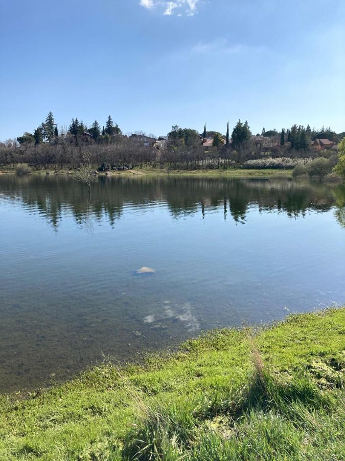 Los Cedros, Gran Chalet Con Piscina Y Apartamento En Navacerrada Eksteriør bilde