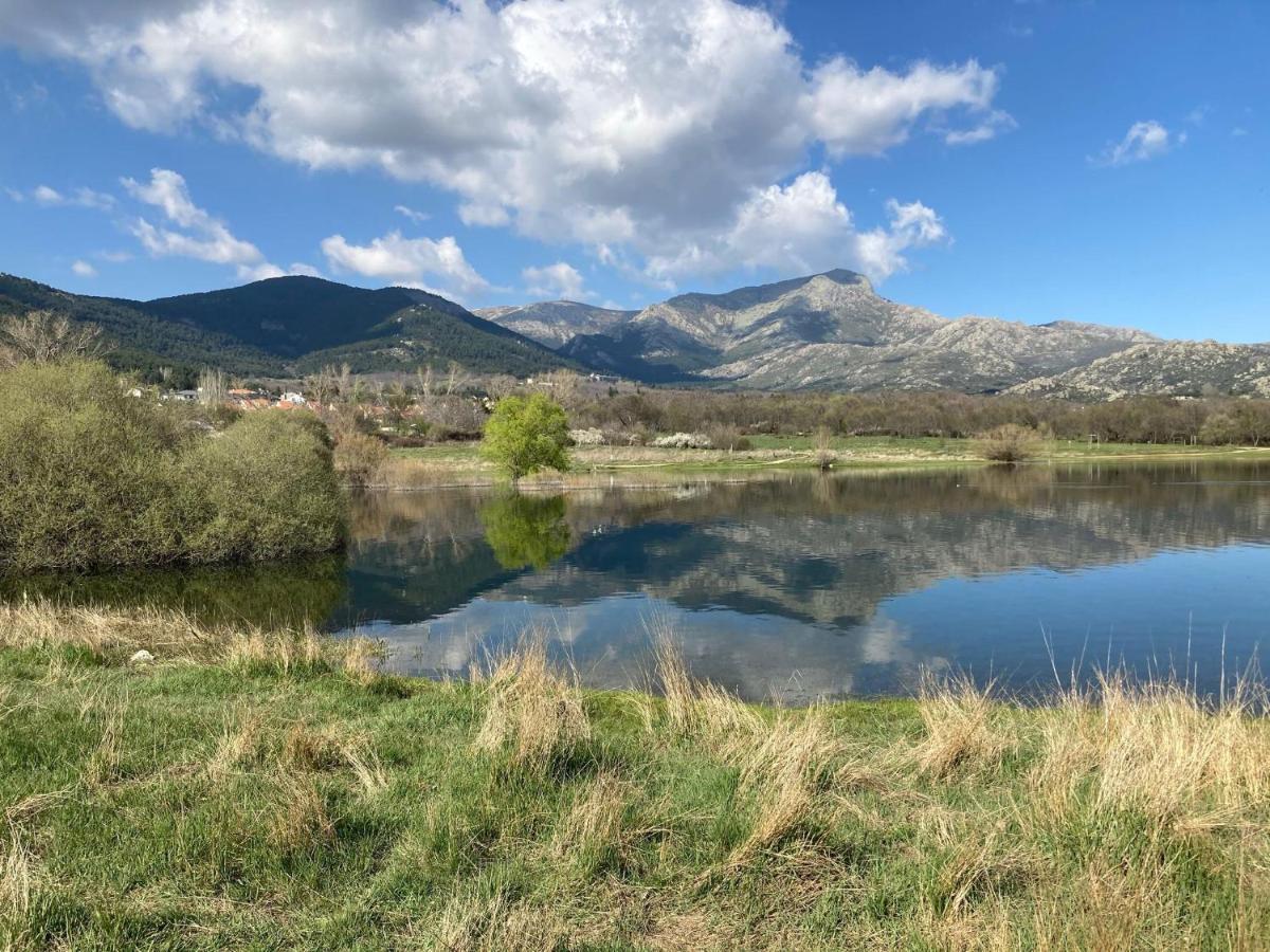 Los Cedros, Gran Chalet Con Piscina Y Apartamento En Navacerrada Eksteriør bilde