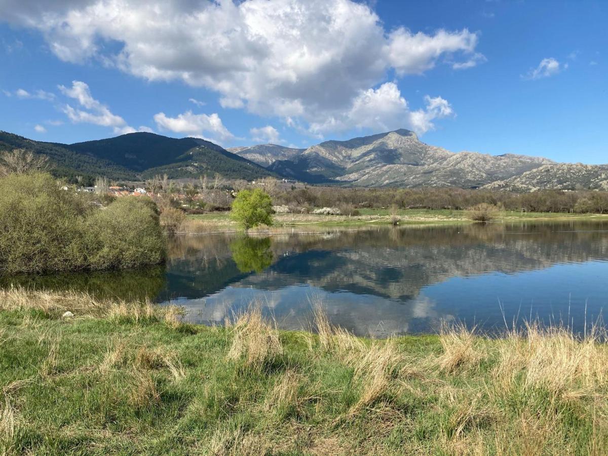 Los Cedros, Gran Chalet Con Piscina Y Apartamento En Navacerrada Villa Eksteriør bilde