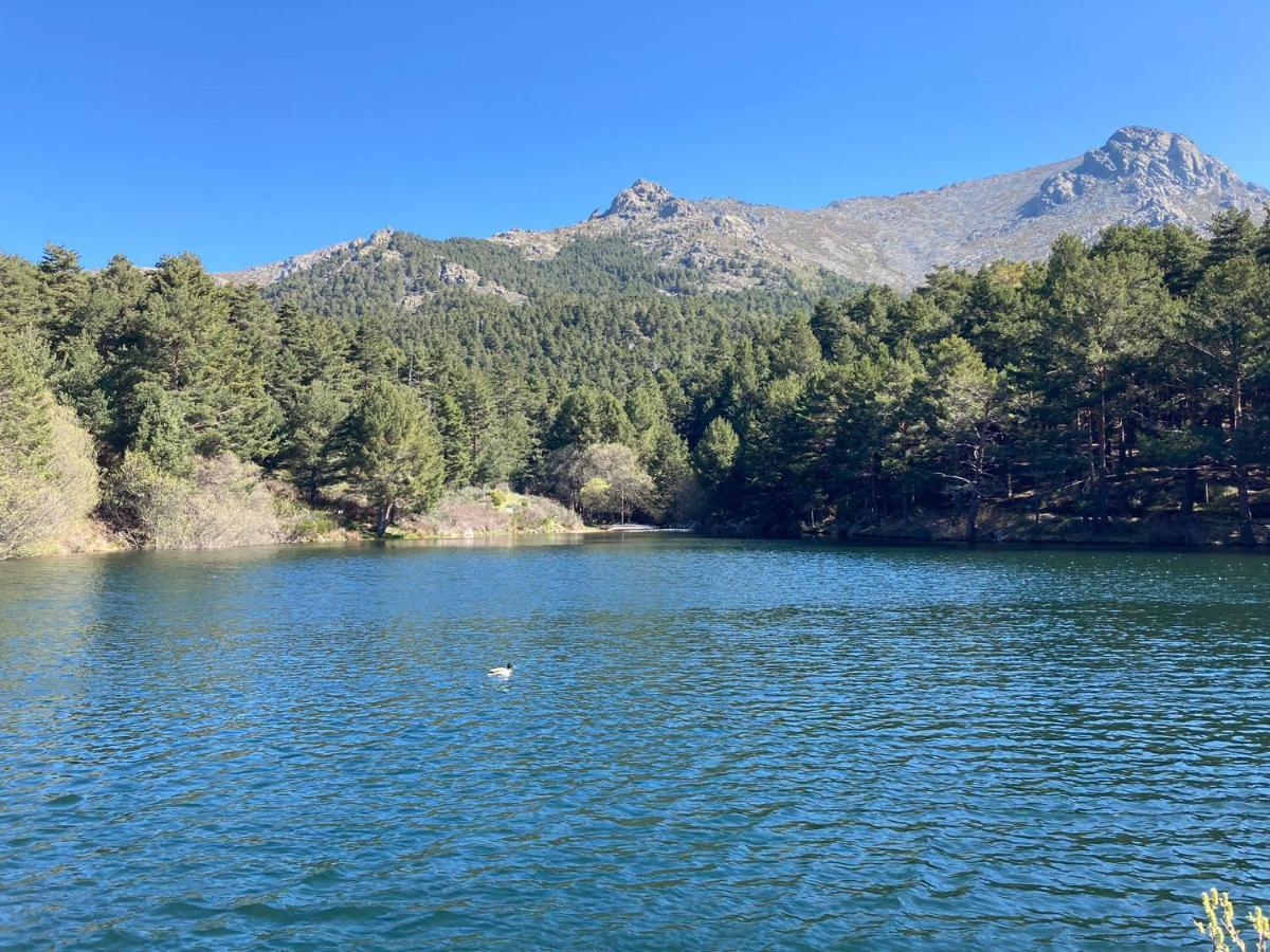 Los Cedros, Gran Chalet Con Piscina Y Apartamento En Navacerrada Villa Eksteriør bilde