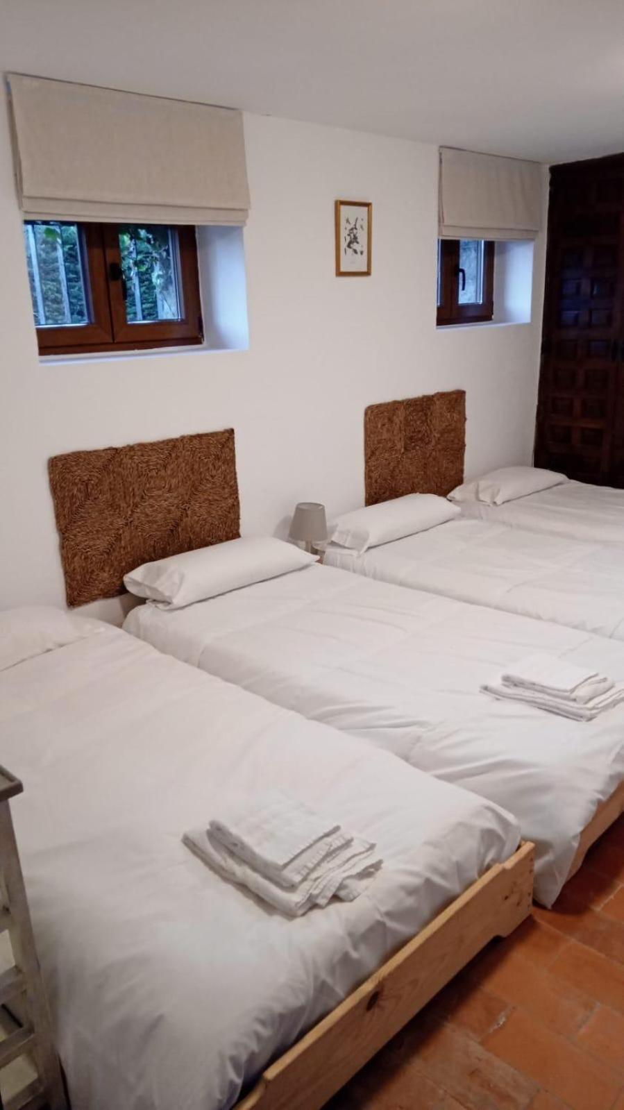 Los Cedros, Gran Chalet Con Piscina Y Apartamento En Navacerrada Eksteriør bilde